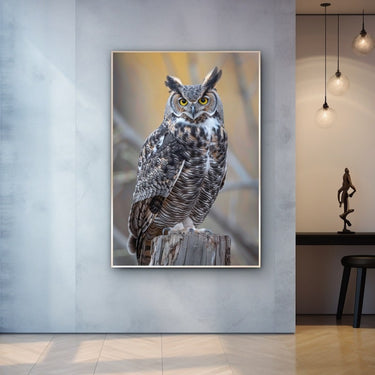 Owl Canvas